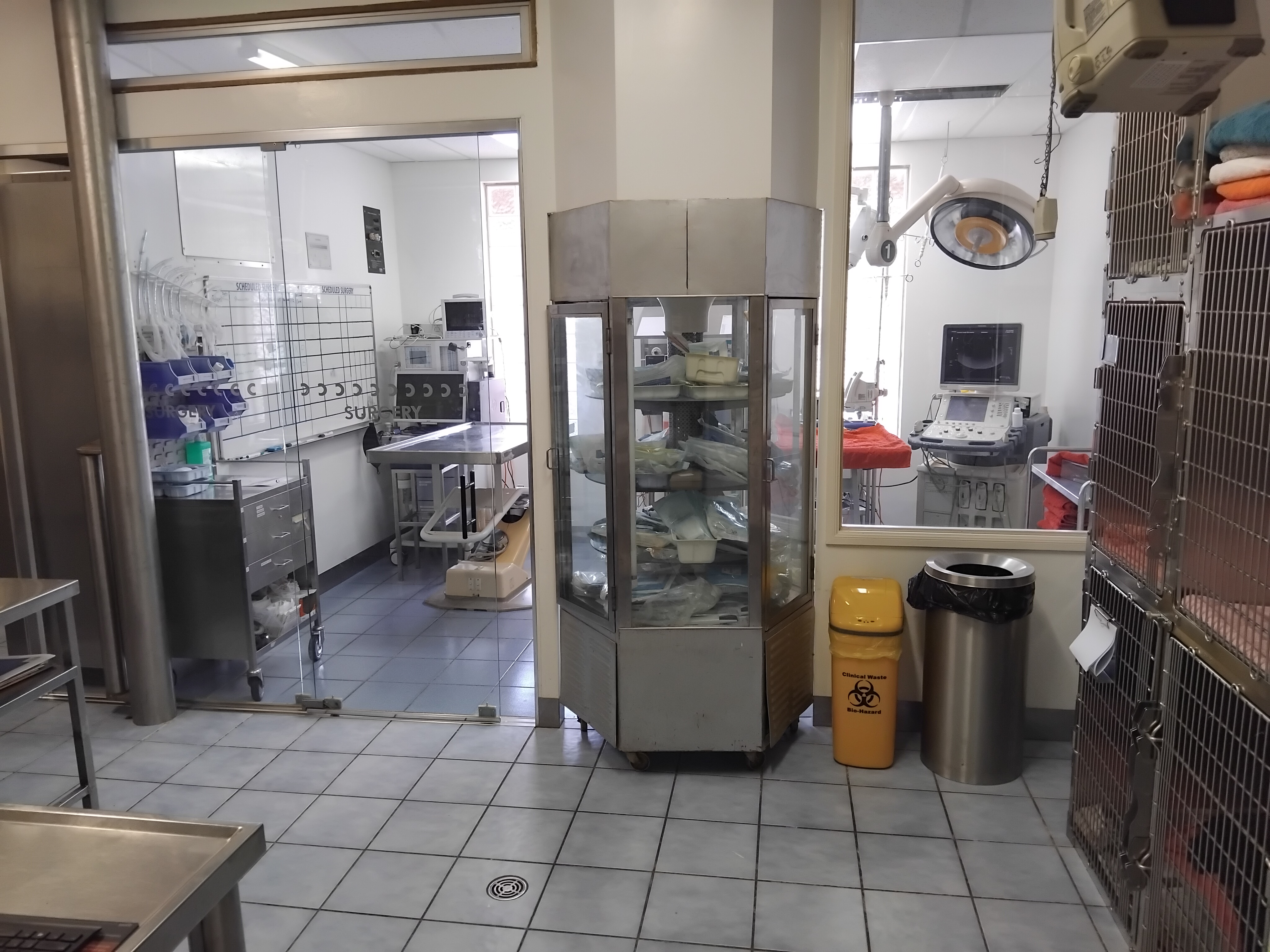 4_Central_Coast_Vet_Centre_Wyong_Surgery