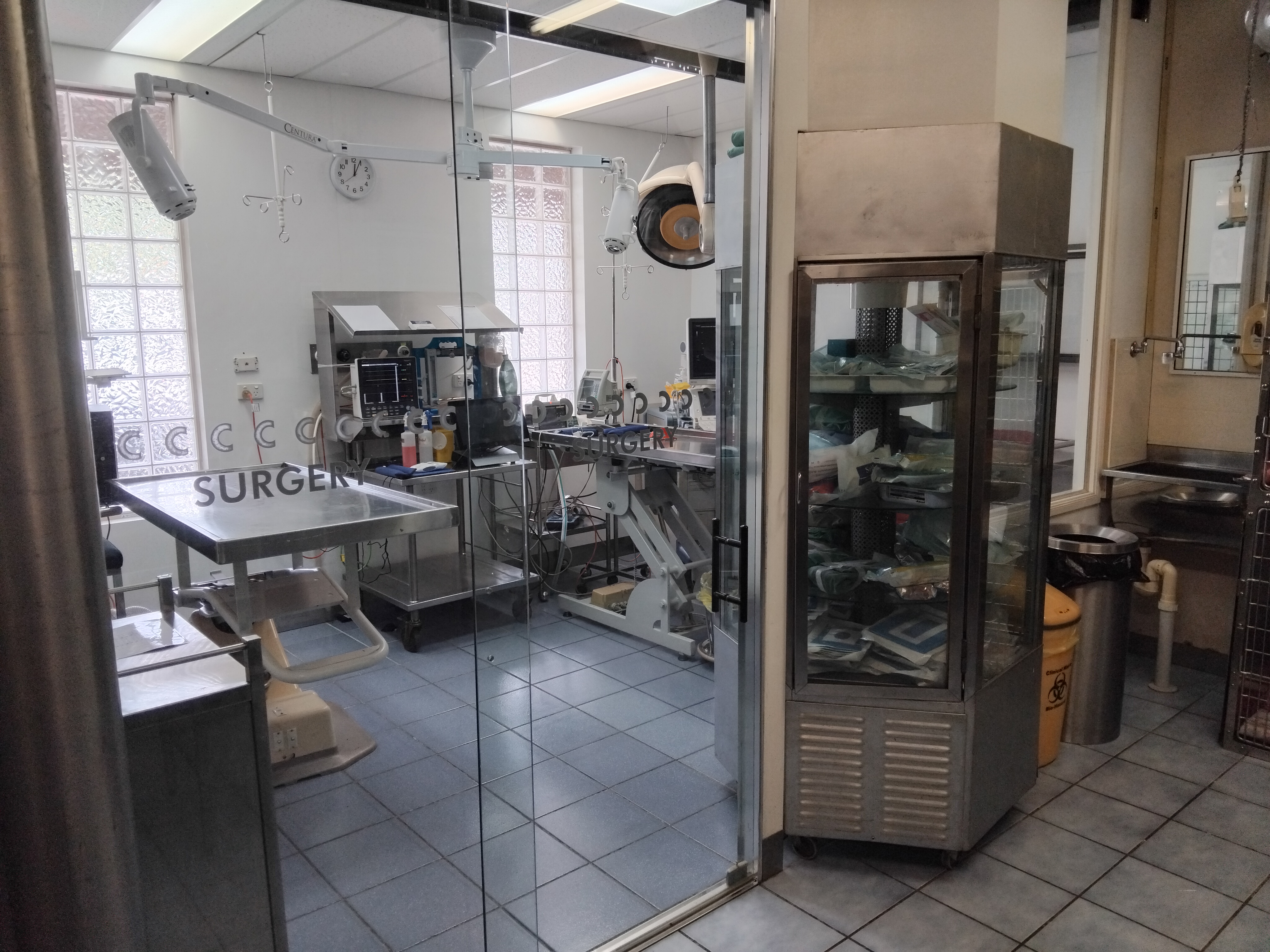 5_Central_Coast_Vet_Centre_Wyong_Surgery