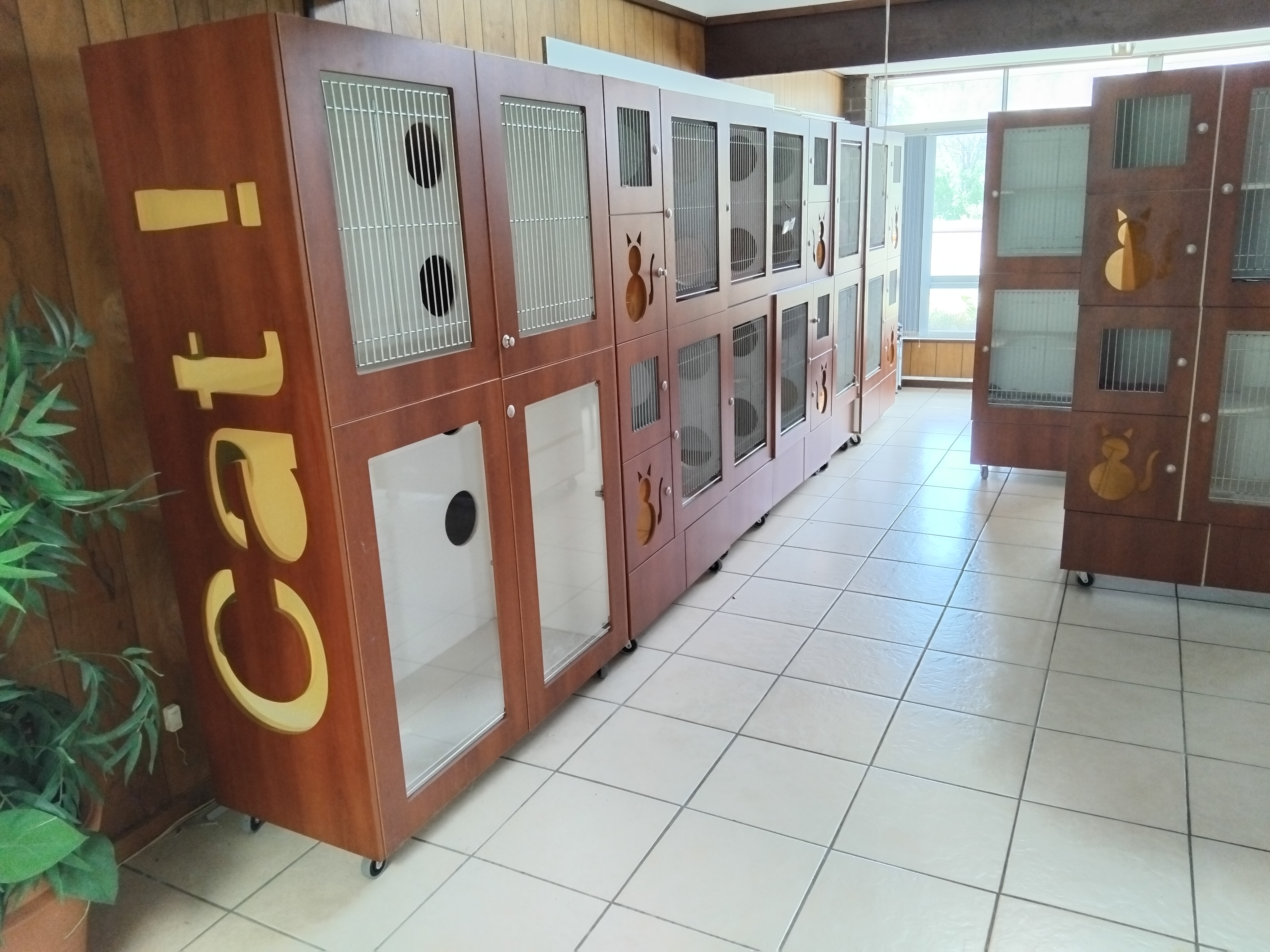 6_Central_Coast_Vet_Centre_Wyong_Cat_Boarding_Cattery 6_Central_Coast_Vet_Centre_Wyong_Cat_Boarding_Cattery