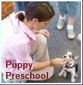 Puppy Pre School